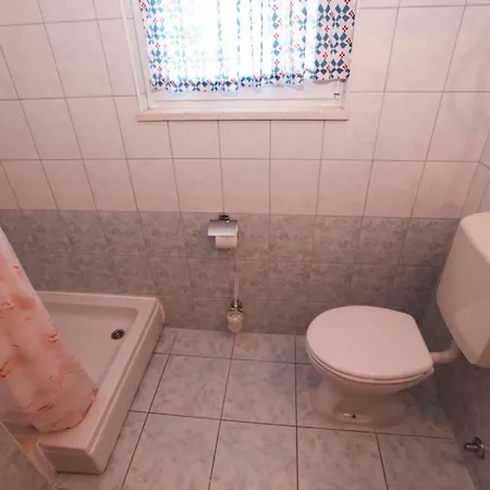 Senka אורביץ